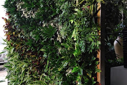 21 New Outdoor Vertical Garden Plants