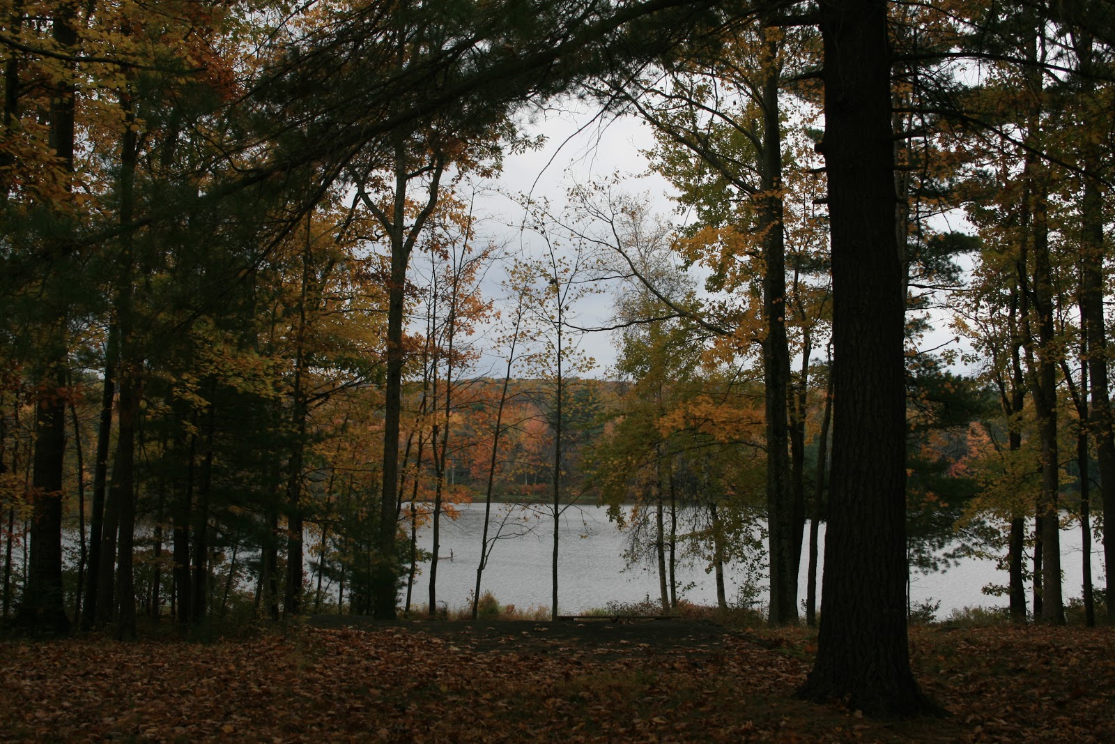 The Root Connection Quilting Retreat in Poconos