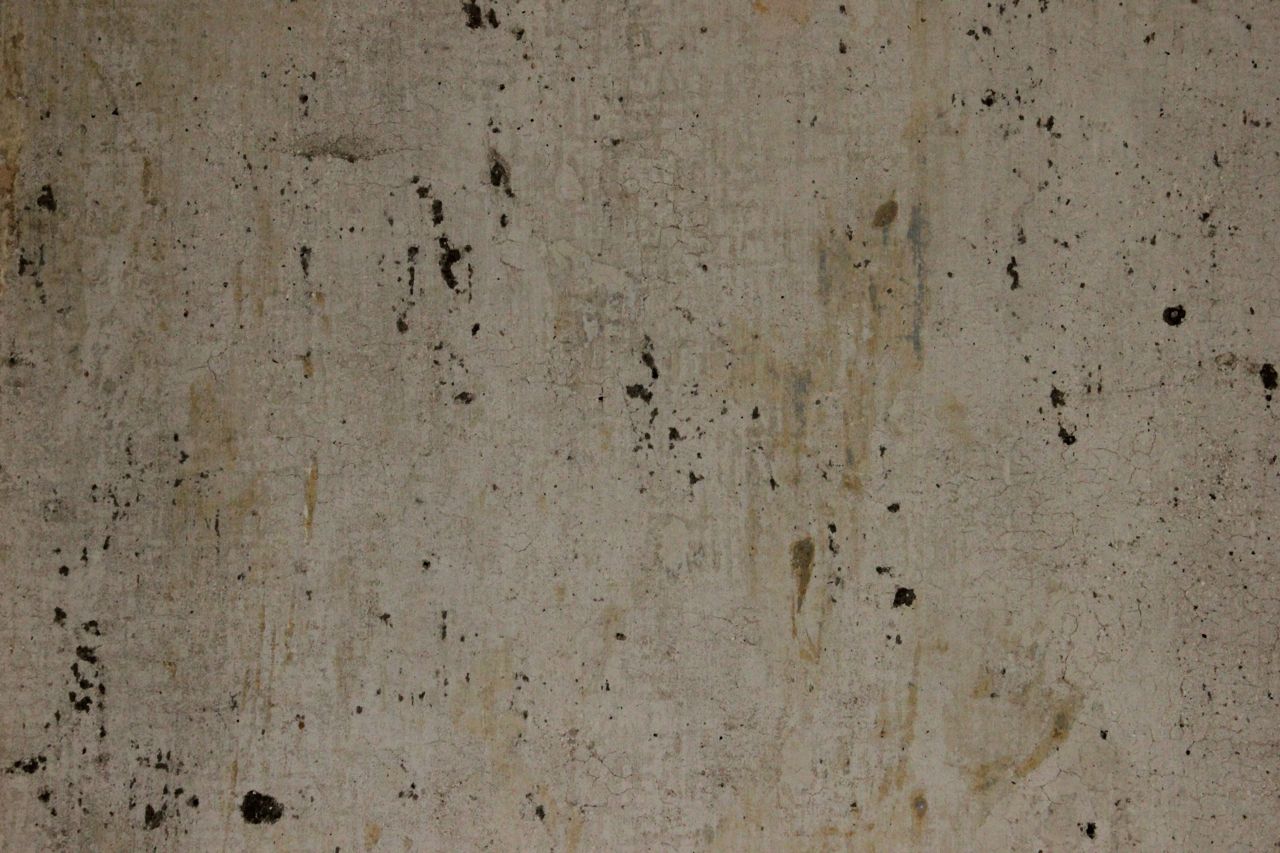 Afternibbin bare plaster walls