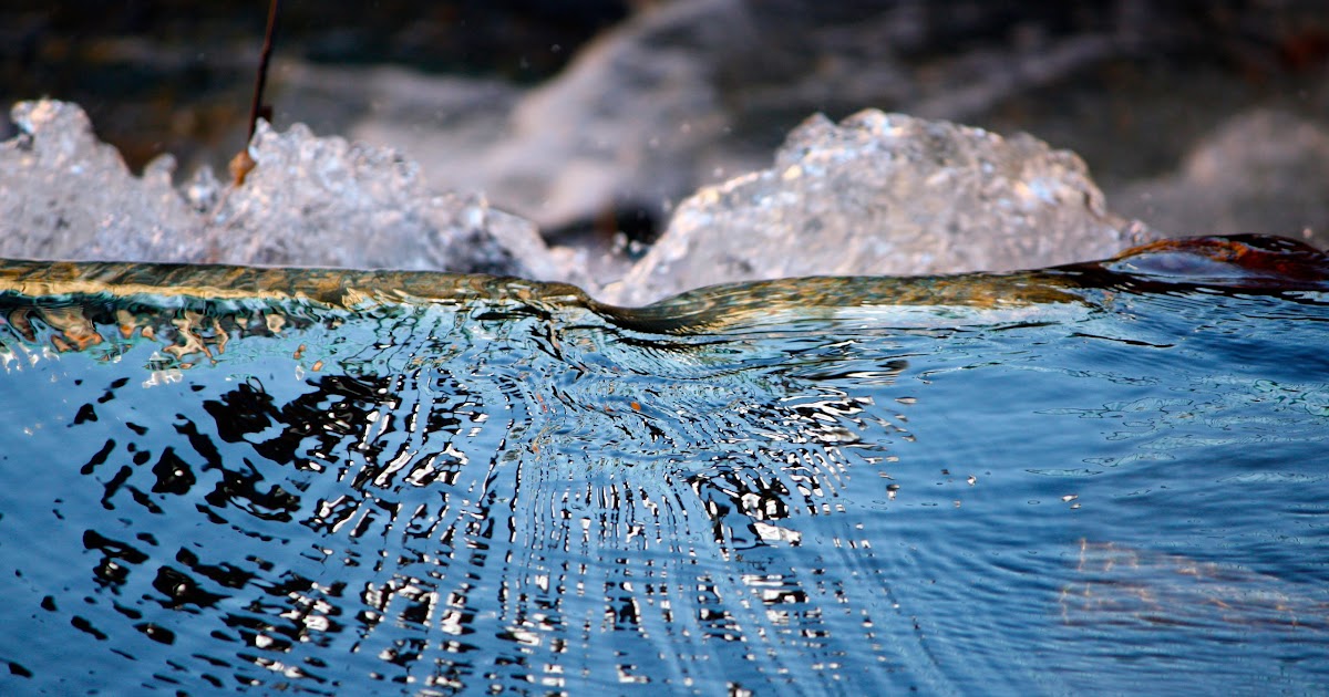 RO-water.jpg