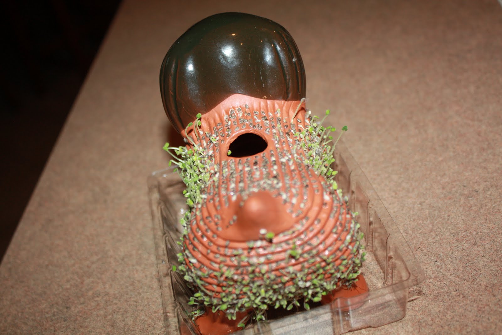 cha chia pets