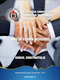 GHIDUL DEBUTANTULUI