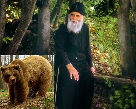 H-oikeiotita-tou-Gerontos-Paisiou-me-ta-agria-zwa«Aenai-EpAnastasi