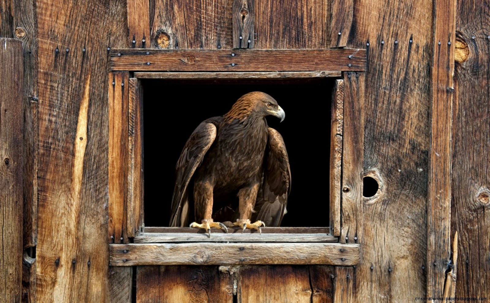 Eagle Barn Eagle Barn