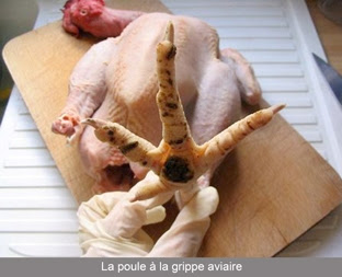 prostituées congolaises