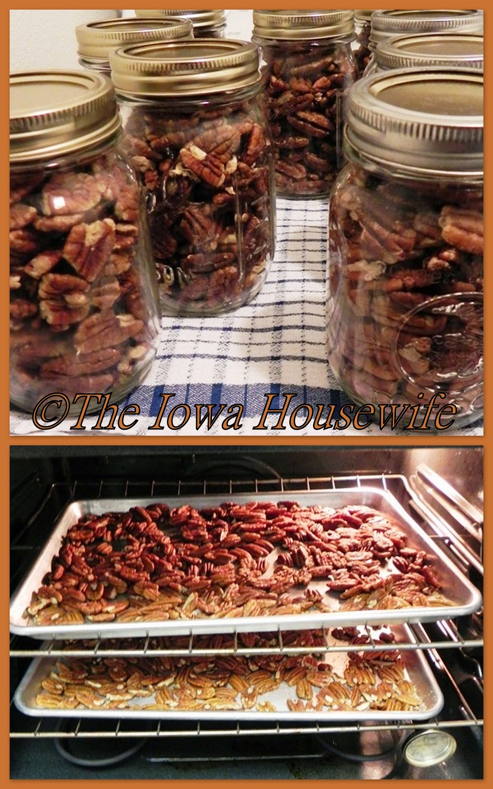The Iowa Housewife Storing Nuts in Jars