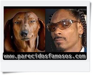 حيوانات تشبه النجوم....Des animaux sosis de stars Snoop+-Dogg-con-cachorro