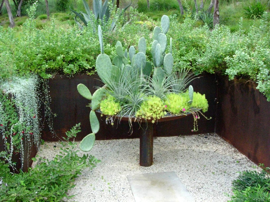 Life Between The Flowers Evergreen Winter Yellow Flowering Spiky