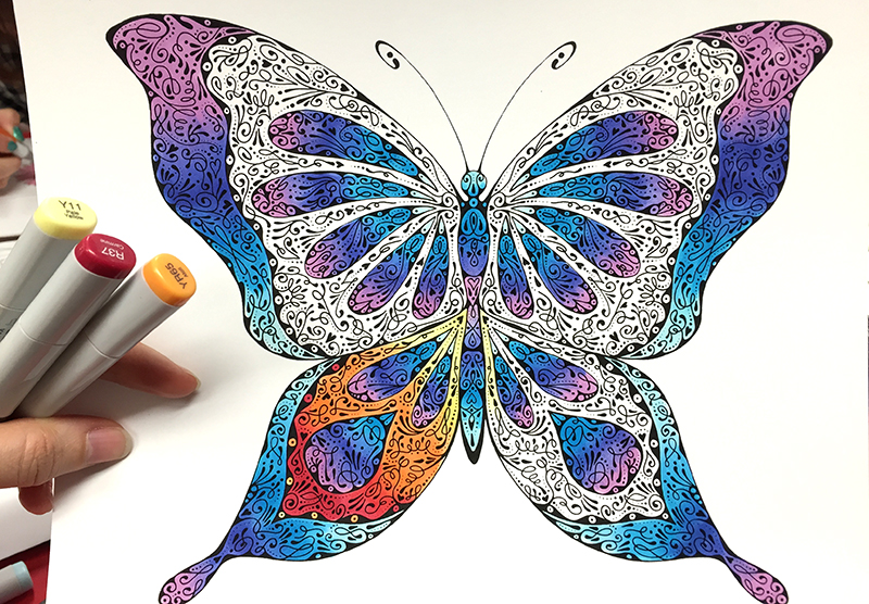 Butterfly Drawings In Color Pictures to Pin on Pinterest PinsDaddy