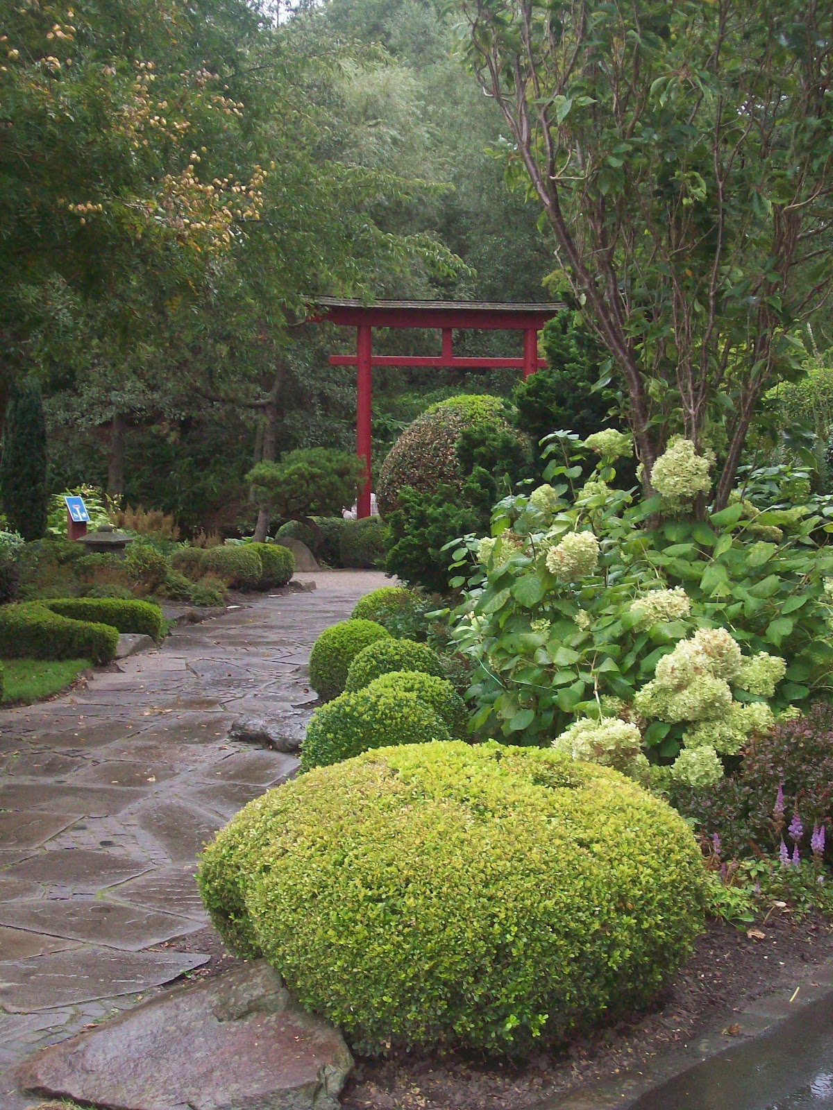 Flowerpower Chinesische Garten