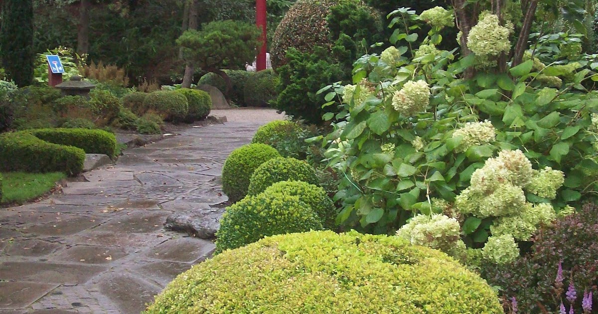 Flowerpower: Chinesische Garten