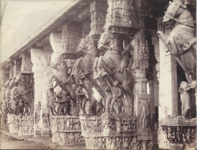 Hall+or+1000+pillars+with+sculptures+of+riding+horses+in+Sri+Ranganathaswamy+Temple+-+Srirangam,+Tamil+Nadu+1890's