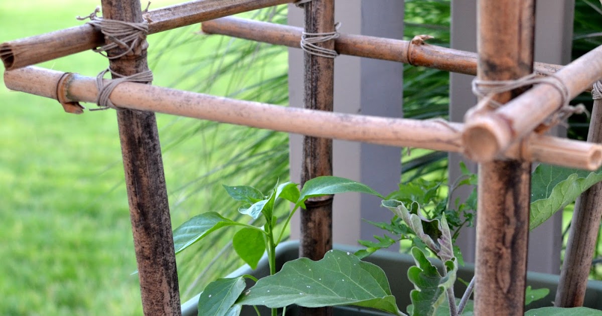 Thrifty Decorating Bamboo Tomato Stakes