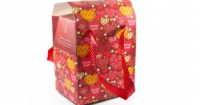 Edge of Insanity: Christmas Boxes- What to do with them!