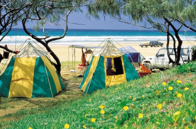 Dog Friendly Camping Grounds Sunshine Coast Dog Friendly Camping Grounds Sunshine Coast