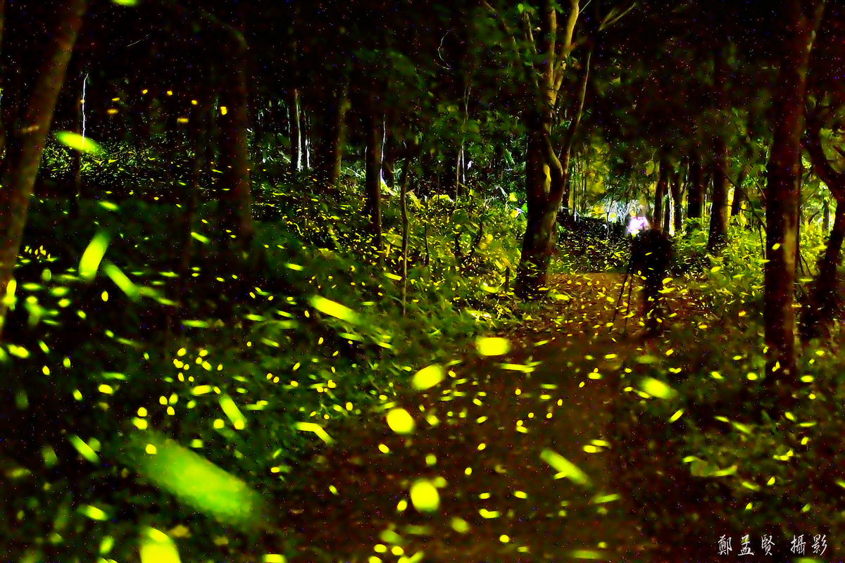 露營瘋粉絲團 螢火蟲季之懶人包v2 露營瘋粉絲團整理