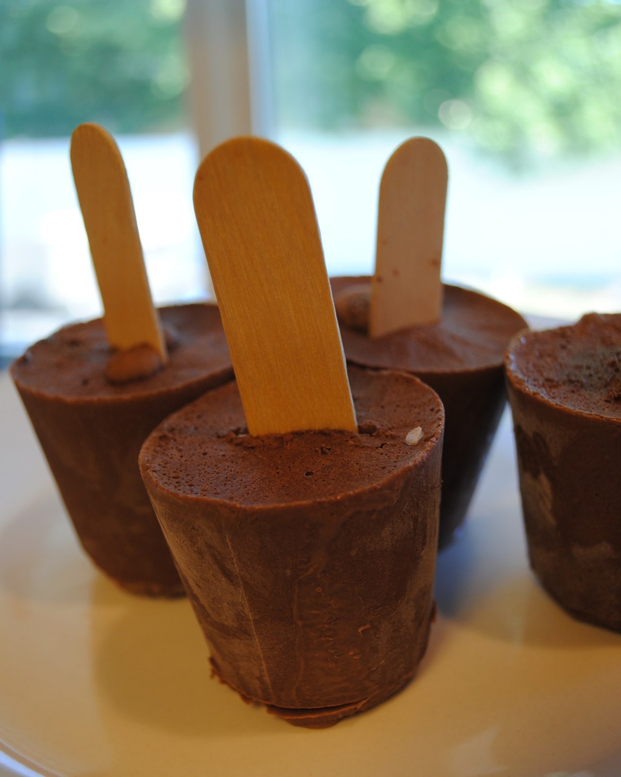 Dairy Free "Tried and True" Chocolate Fudge Pops