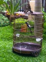 kicaurahmat.blogspot.com