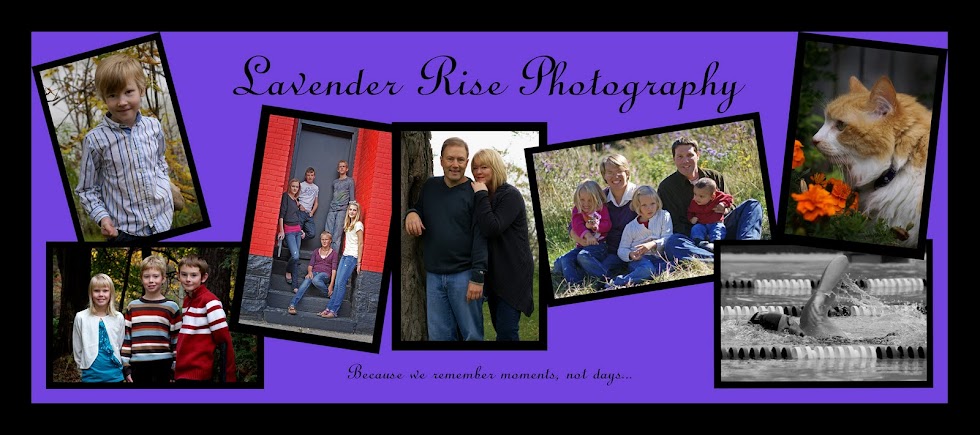 Lavender Rise Photography