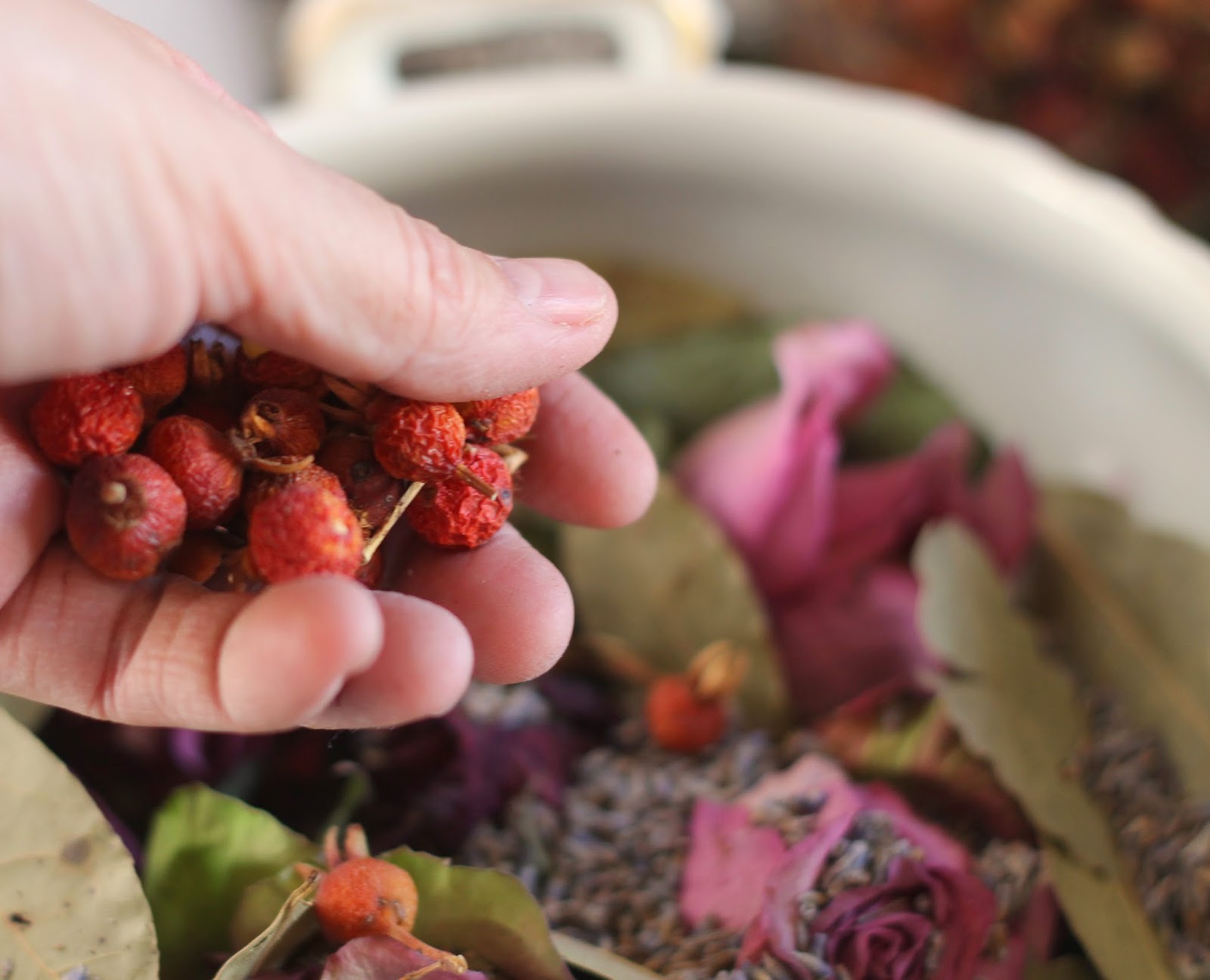 Where Your Treasure Is Rose Potpourri