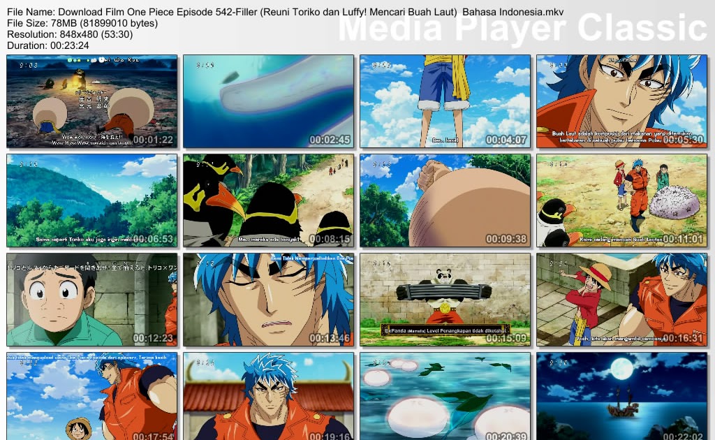 Download one piece sub indo episode 1 format 3gp