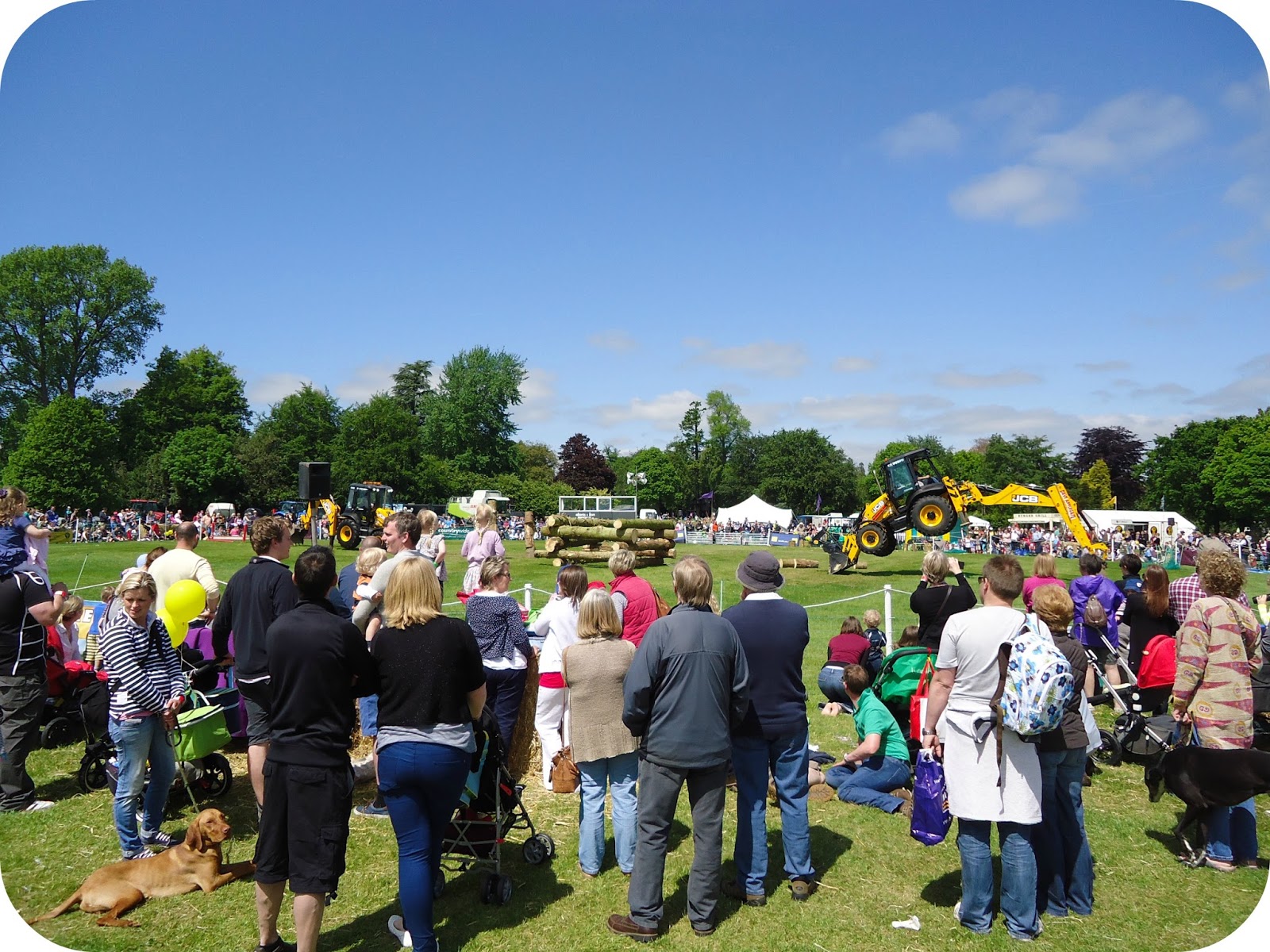Win a Family Ticket to Tractor Ted's Big Machines Weekend at Bowood House