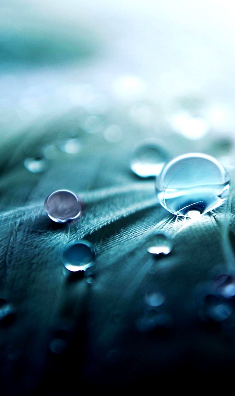 Waterdrops Waterdrops