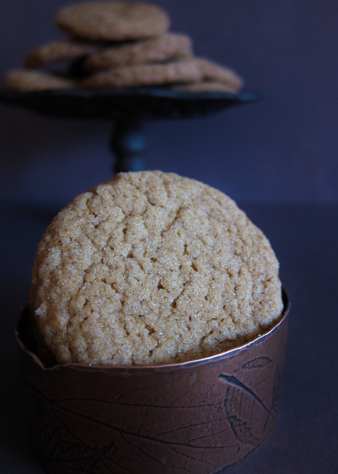 Arctic Garden Studio Ginger Snaps