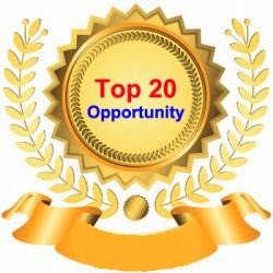 TOP 20 OPPORTUNITY