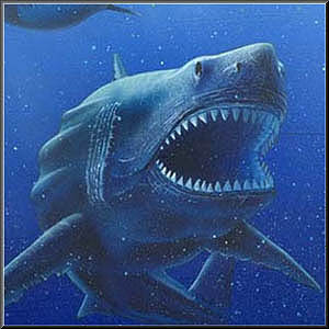 巨牙鯊（巨齒鯊 Carcharodon megalodon）史上最大鯊魚 體長為大白鯊兩倍