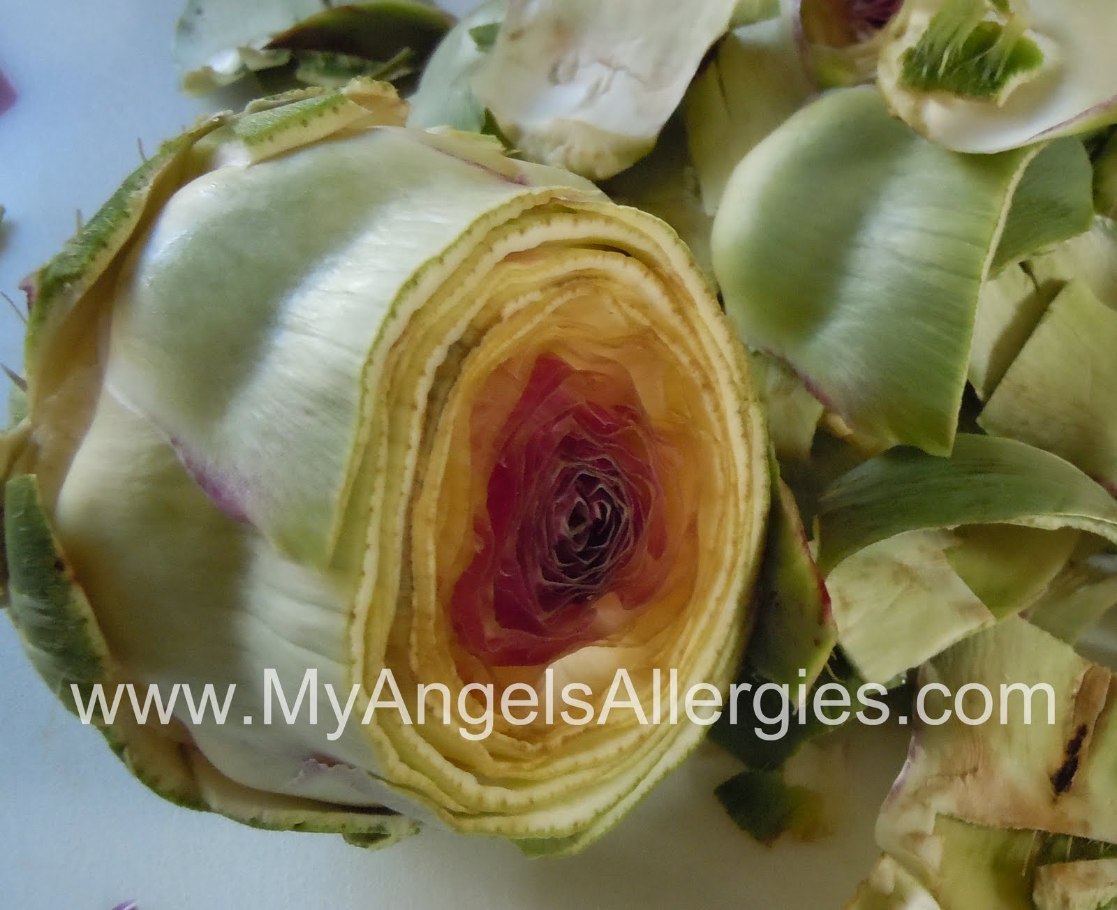 Artichokes The Heart My Angel's Allergies