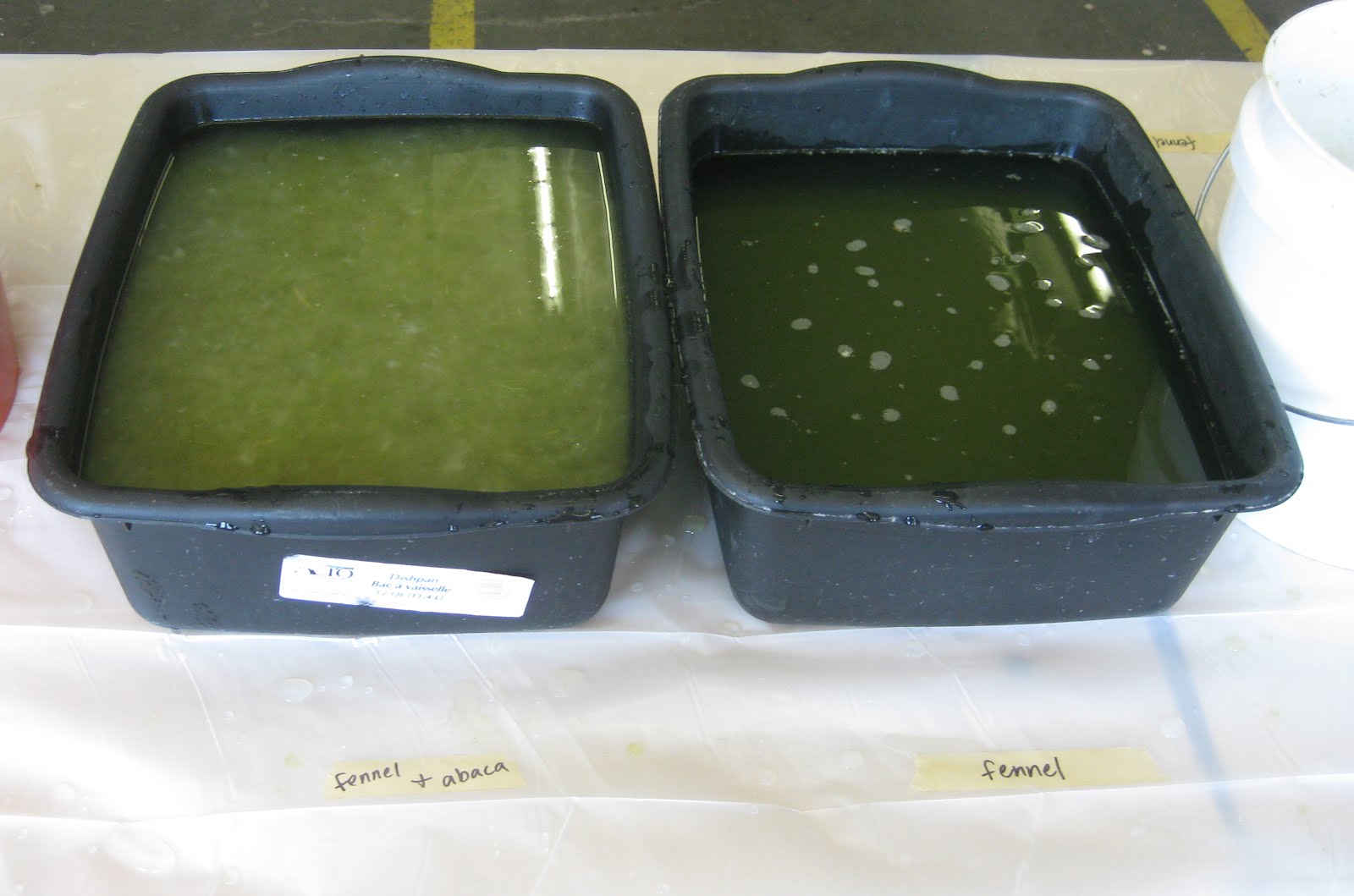 Rocinante Press Photos from Papermaking from Plants and Exotic Fibers