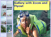Gallery with Zoom and Flyout Demo 