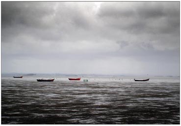 Laguna de Rocha - Uruguay 2011