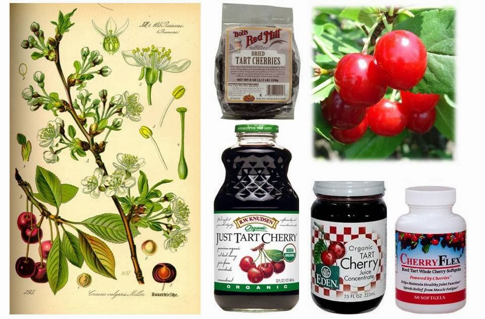 Ottawa Valley Dog Whisperer Tart Red Cherry (Sour Cherry