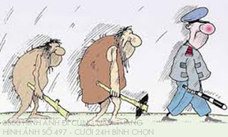 3650 hình ảnh đi cùng năm tháng (50) 3650 hình ảnh đi cùng năm tháng (50)