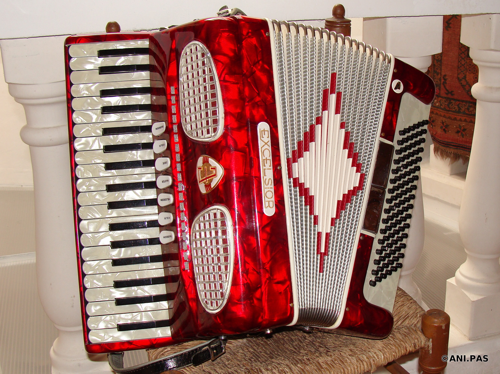 ANI.PAS Accordion BLOG Accordion "Excelsior Manufacturing Company" I