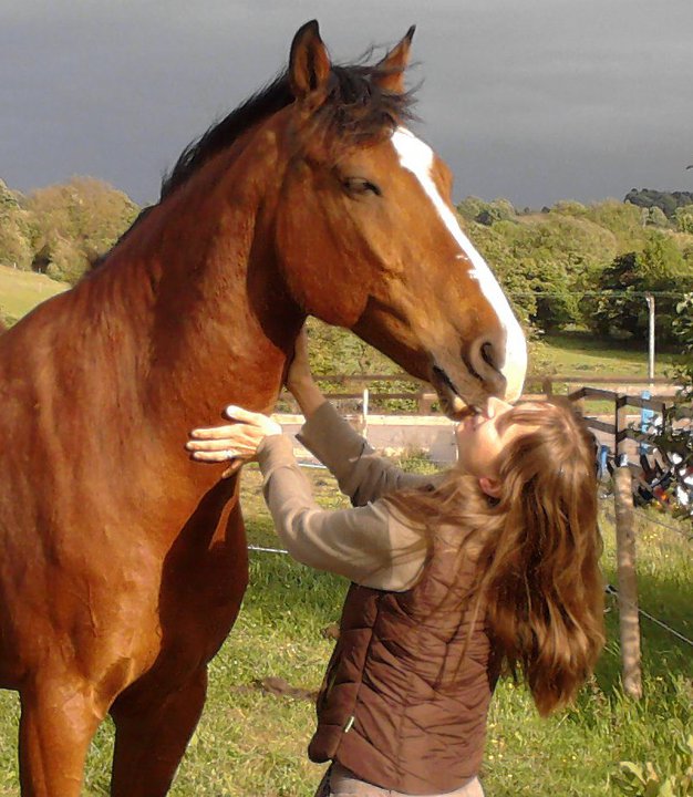 Equine Compare News Dirty Bertie's Bedding Test Flax Core