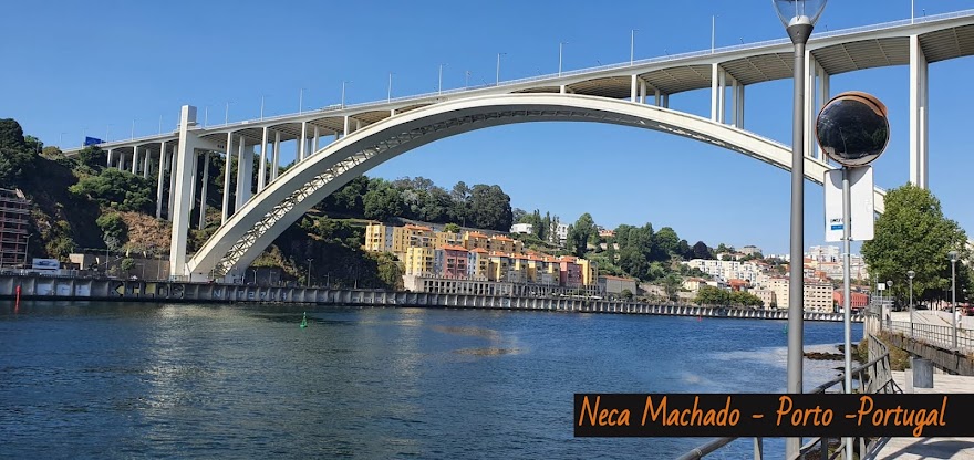 Neca Machado - Porto -Portugal