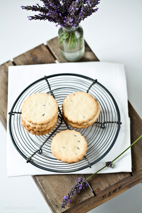 Post aus meiner Küche Lavendel Keks Sommergebäck