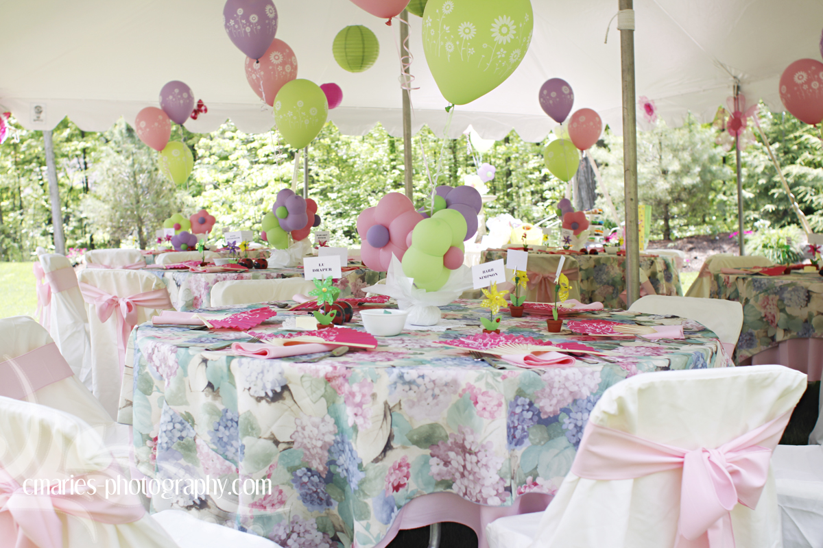 C Marie S Photography Blog Decorations Plus Findlay Party