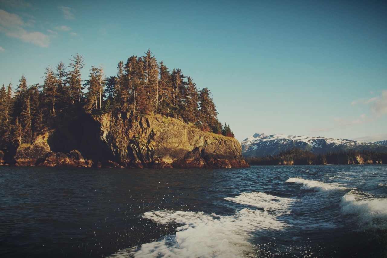 WanderLost Halibut Cove