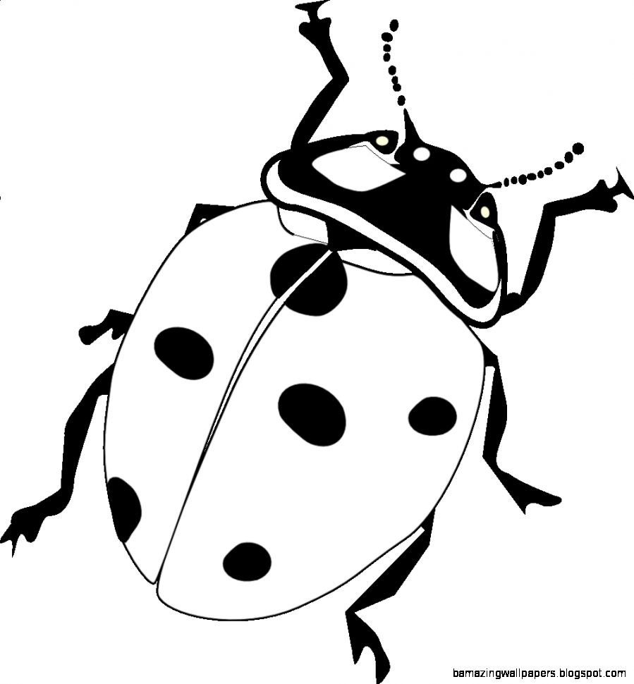 ladybug 18 black white line art flower google coloring book ladybug 18 black white line art flower google coloring book