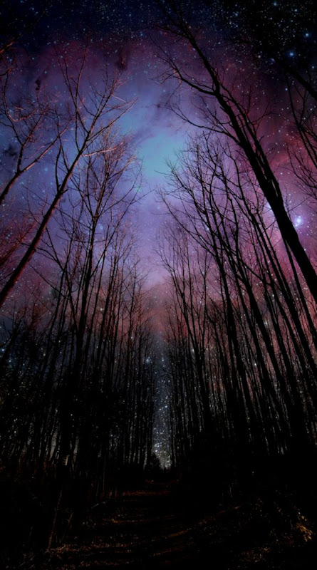 download live photo iphone 6s   Google Search  IPhone 6 Plus download live photo iphone 6s   Google Search  IPhone 6 Plus