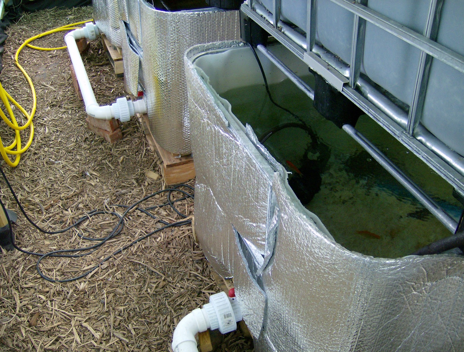 The Aquaponics Gardener Insulation added to the Greenhouse