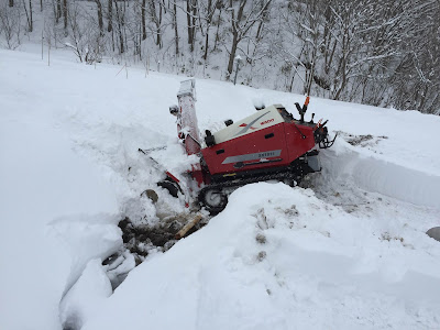 大雪となると