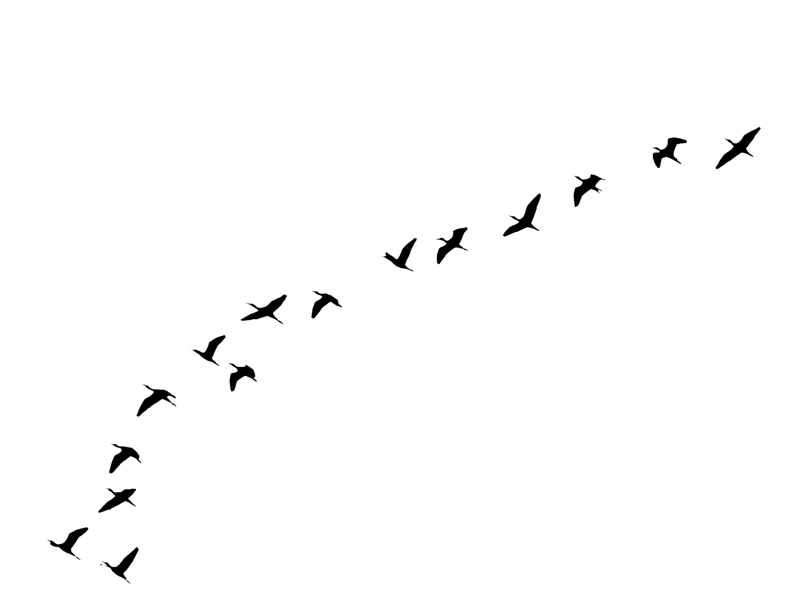 तस्वीर क्या बोले : April 2013