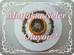 Mutfakta Neler Oluyor ?