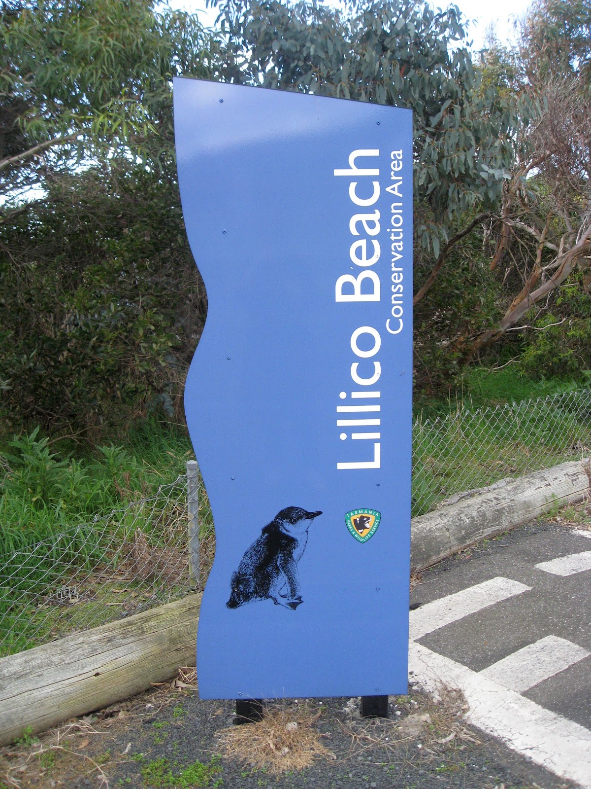 Vicki's Fabric Creations: Little Penguins-Fairy Penguins