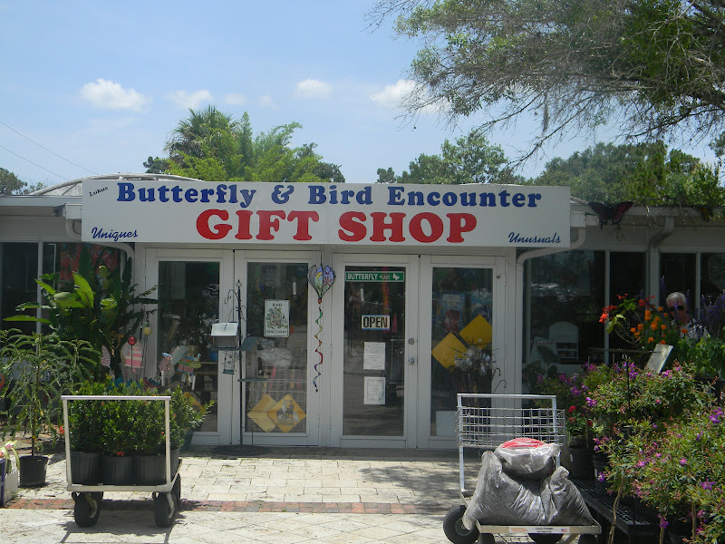 The "Unknown" Florida Lukas Nursery/Butterfly Encounter Oviedo, FL